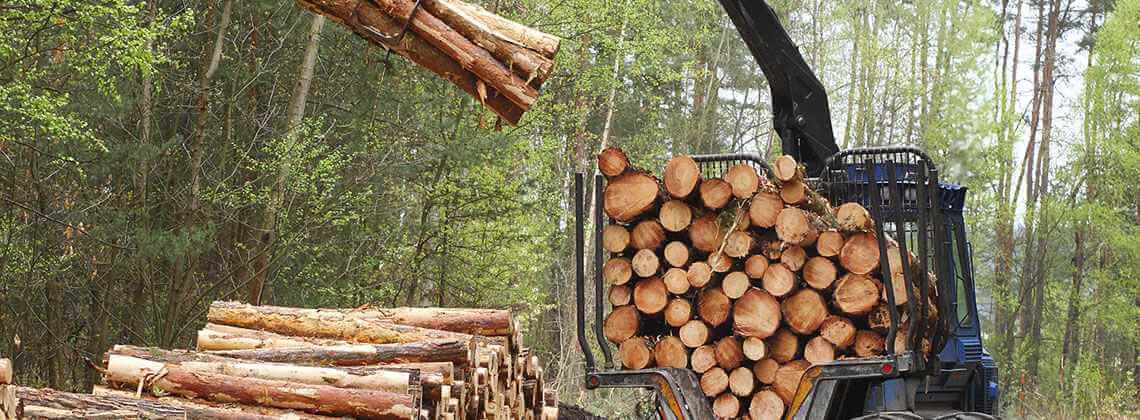 Parker Hannefin Holzindustrie